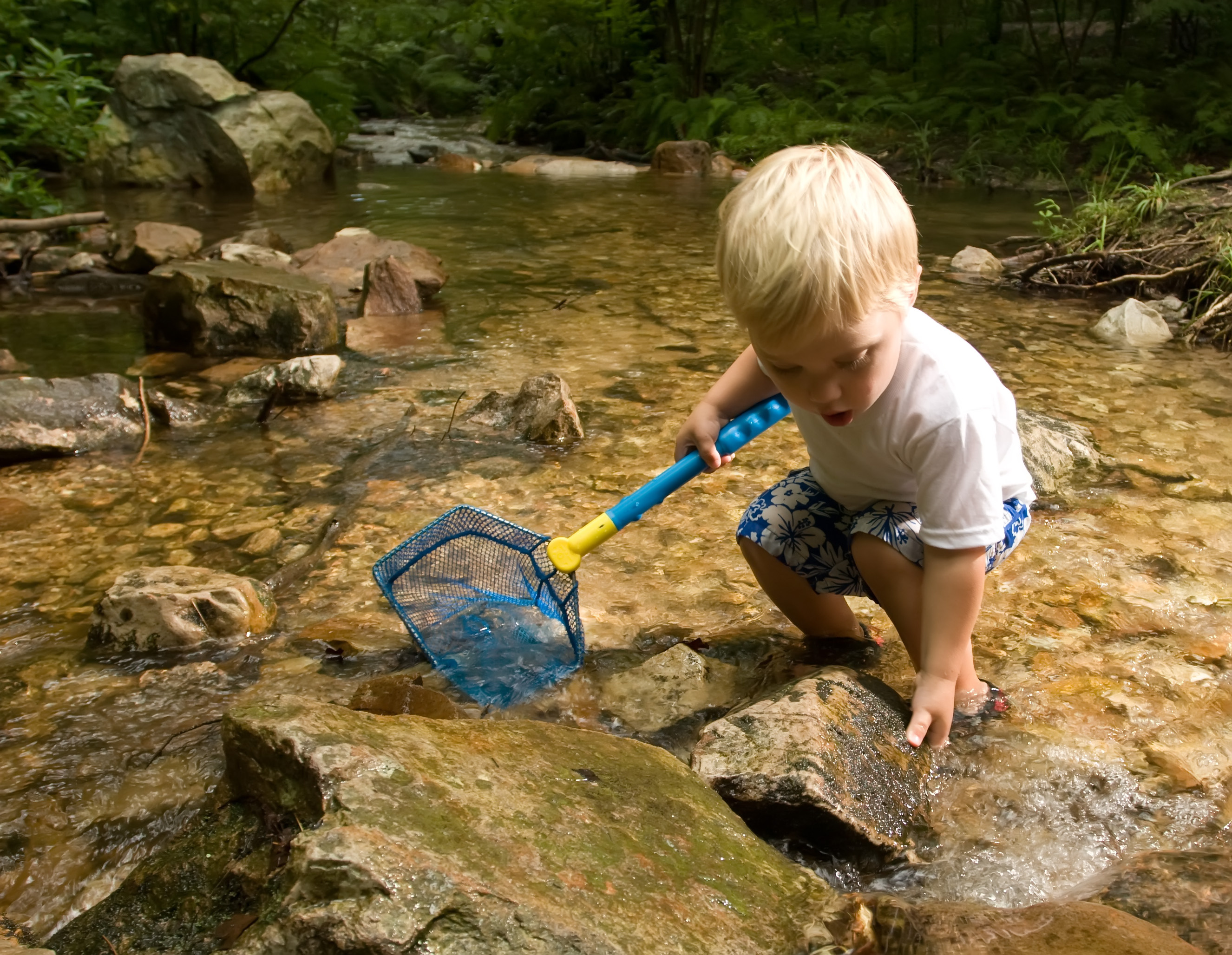 Pediatric Occupational Therapy: Nature Nurtures