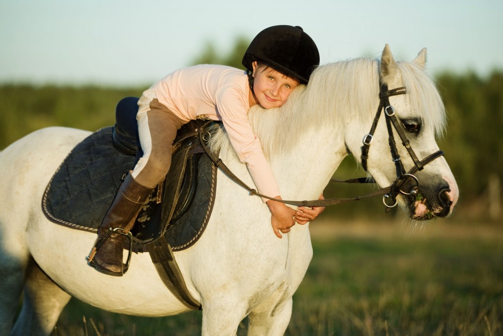 34850445 - girl riding a horse on nature